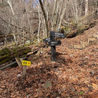 田代岩屋へ向かいます