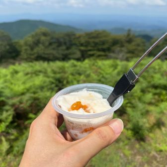 デザートは半解凍なゼリー