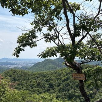 この辺りでクチナシの花と思われるお花の香りが漂ってました。(お花の写真撮り忘れてた😅)