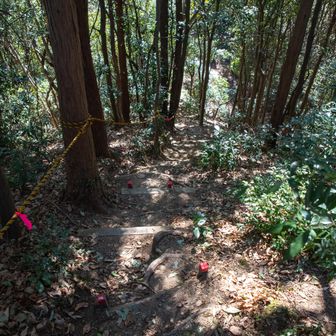 網代弁天山・網代城山 急登のアップダウン多め