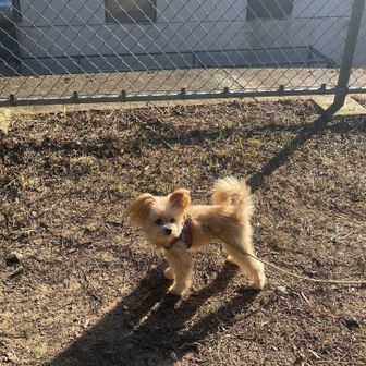 岡崎航空路監視レーダーですって。
スッキリしました