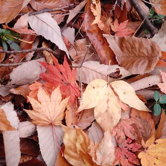 もぉイッパ〜イ！