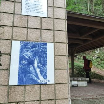 本日も犬戻峡を独占👍️✨