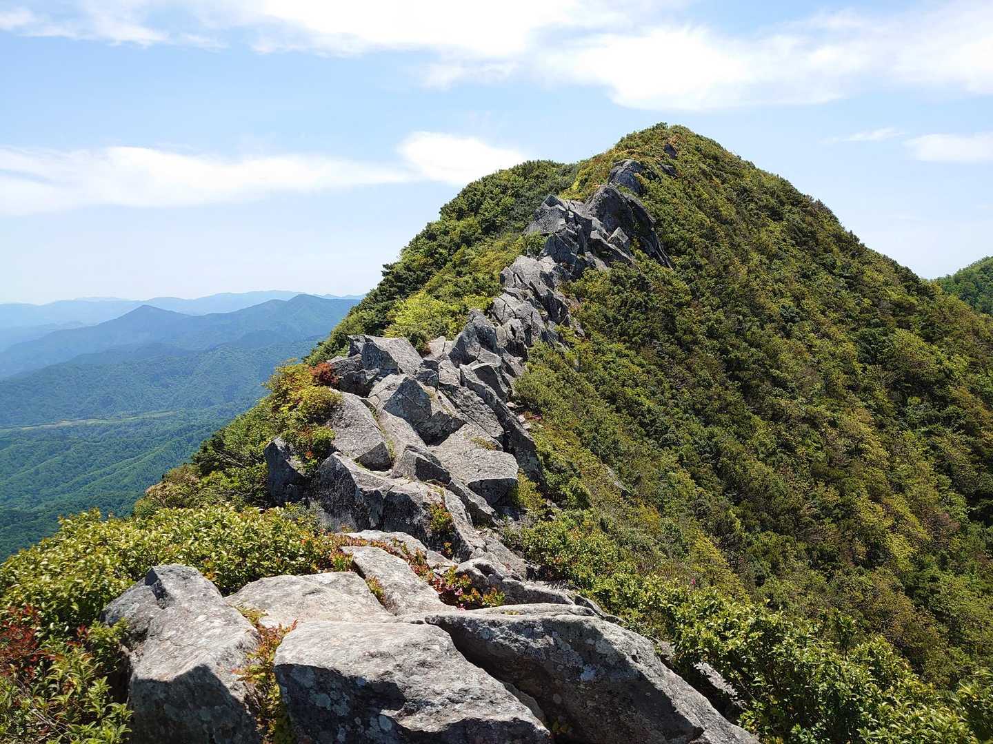 ゴジラの背到着。
甲ヶ山までもう少しです。
ここで岩を登り跨ぎかけた瞬間ピピピッ太ももに違和感が...今日はここが最終地点です😓