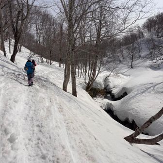 下山は上りとは違う道で