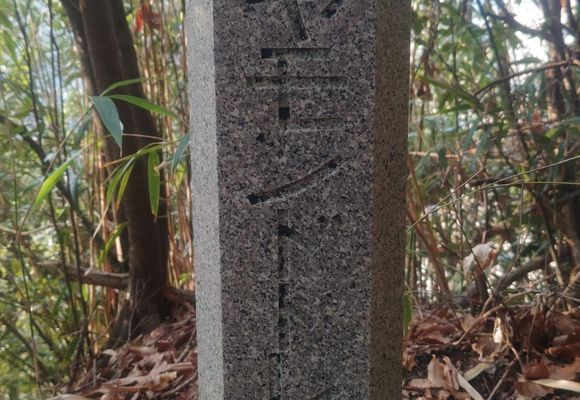 葛城修験「法螺貝（ほらがい）」 | YAMAP / ヤマップ
