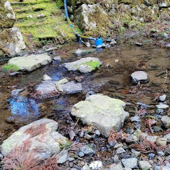 ピョンピョン渡って