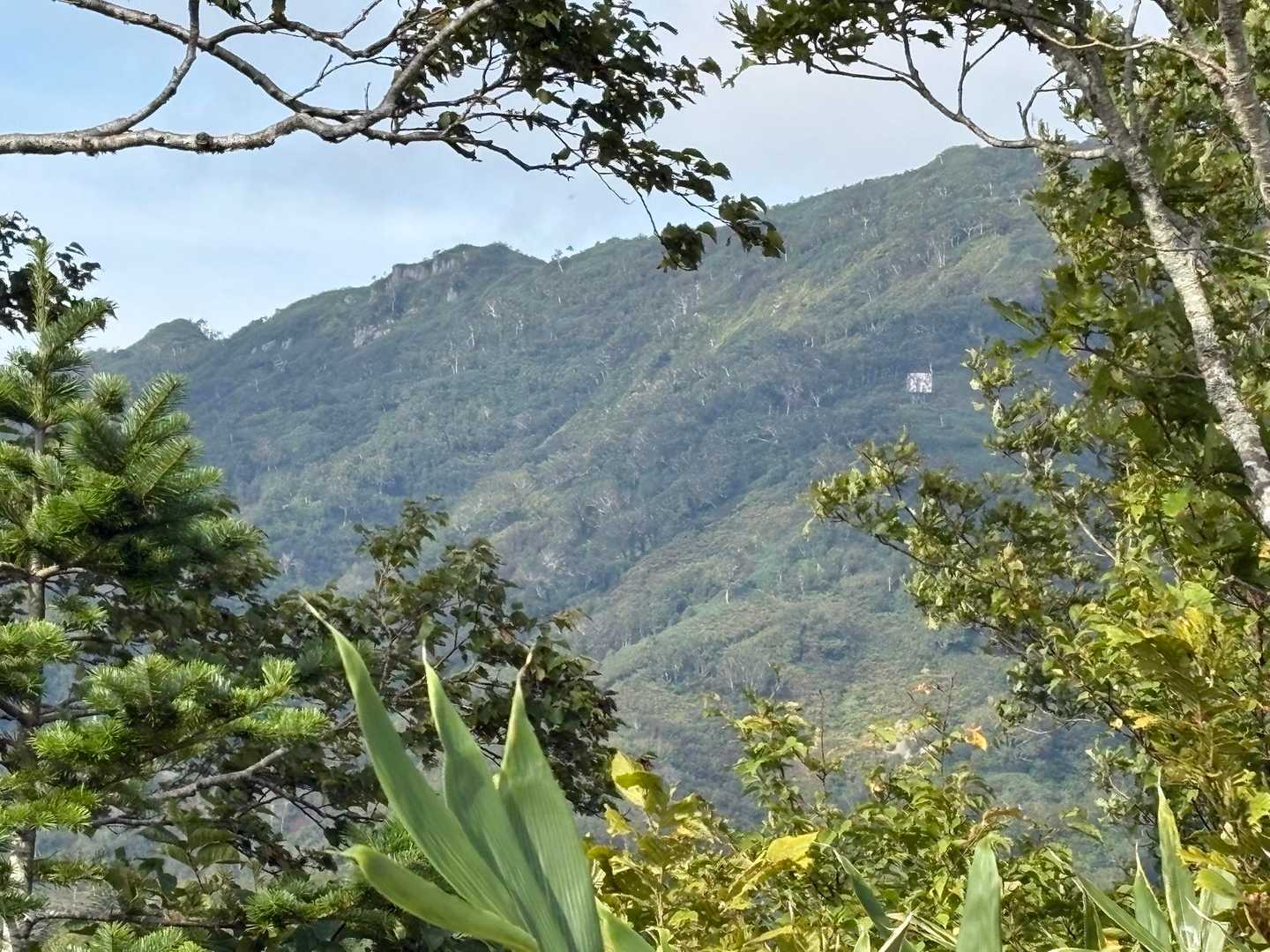 左から三、ニ、一