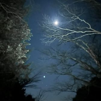 ここから一旦、相模湖MORIMORIの方まで降ります。
２人なので不安がないのもありますが、
石砂山〜牧馬峠以外は、意外と周囲（街）の明るさを感じられるところがそこそこありました。　

ソロナイトハイク意外と行けるかも⁉️