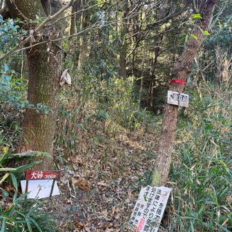 ここでした
金立山迄は登りが続くようです😅