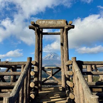 下山時には展望台に登ってみた🗻