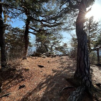 物見の岩の手前にはベンチがある