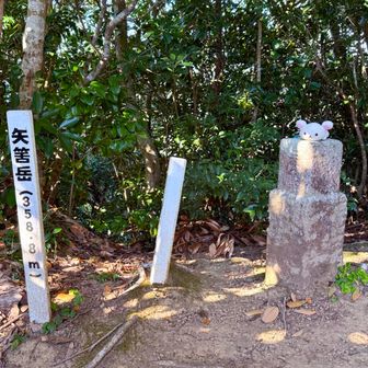岩場、トラバース、滑る砂坂、意外と優しくない山でした⛰️