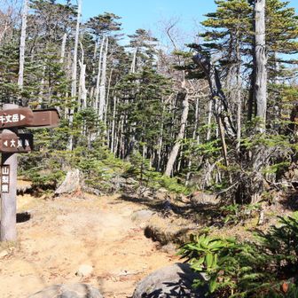 分岐　右に行けば北奥千丈岳
