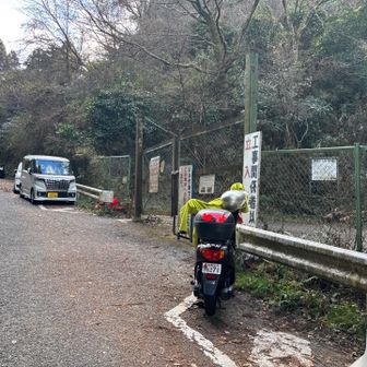 水越峠から林道にイン