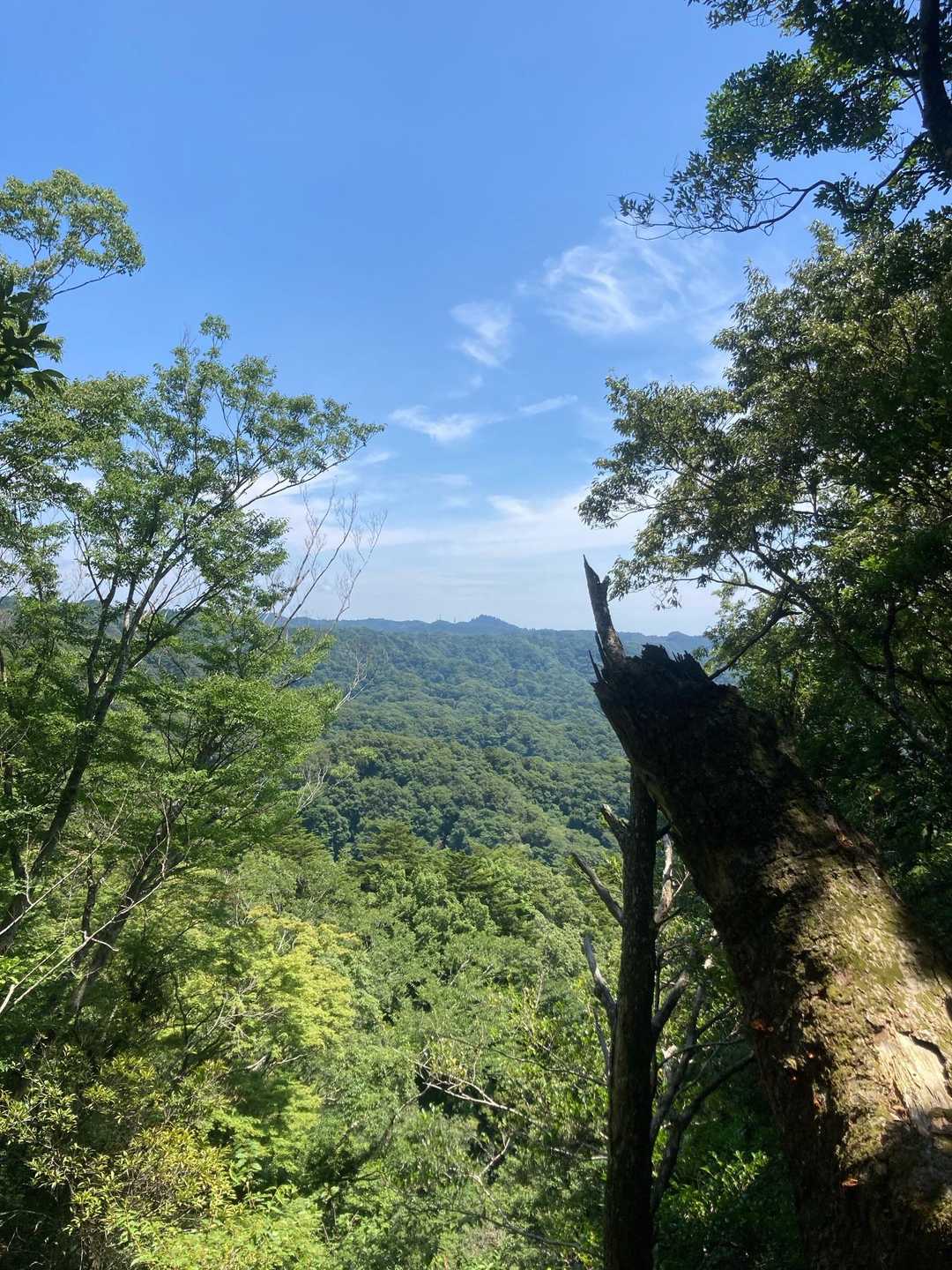 地蔵峠-元清澄山 往復コースの写真
