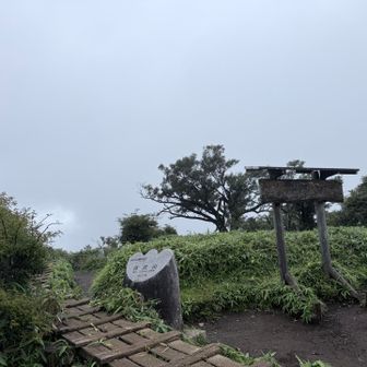 丹沢山。なにも見えないけど。