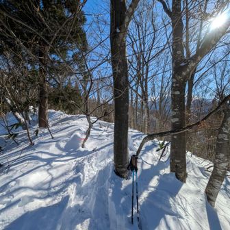 奥長尾山山頂　標柱、山頂看板が無いからこの辺が山頂かな
雪で埋まってるかな