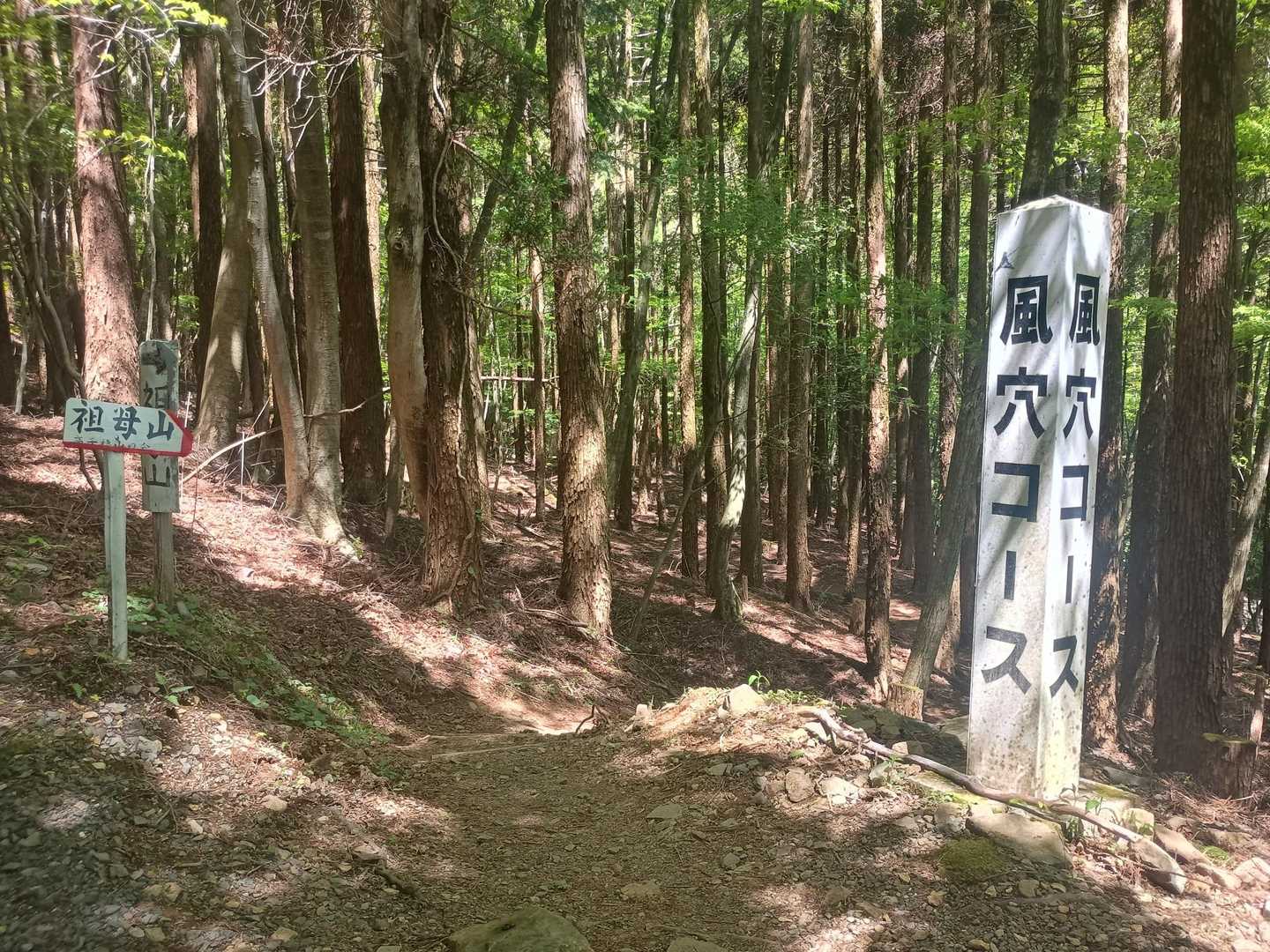 林道に出ました！
無事に念願の祖母山に登れました🙏
楽しかった〜🎵