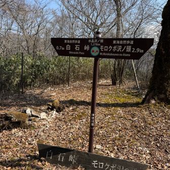 水晶沢の頭到着