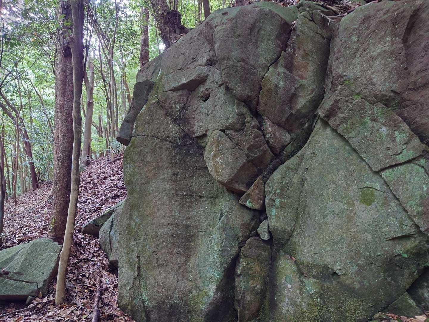 象𓃰に見えるんですけど、象岩と呼んでいいですか？！　真ん中上のポッチは、目でしょ🤔