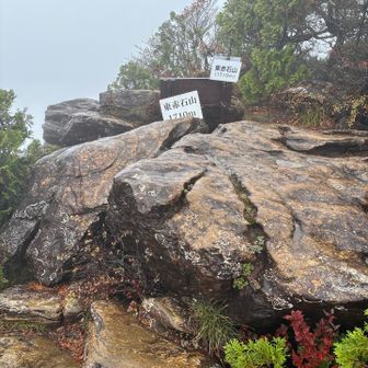 山頂
景気ないからとっとと下山