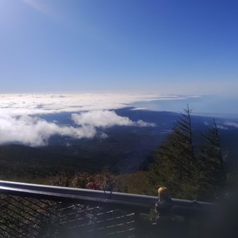 とっても気持ち良い