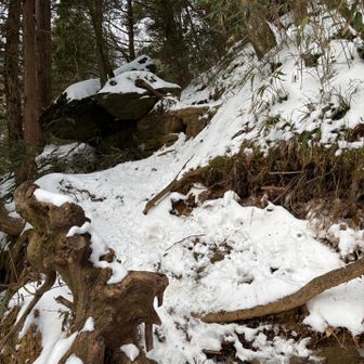 登山スタート　雪少ない