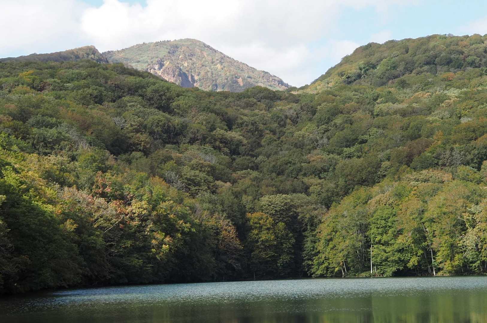 蔦温泉登山口発着｜蔦沼ほかブナの森湖沼群周回コースの写真