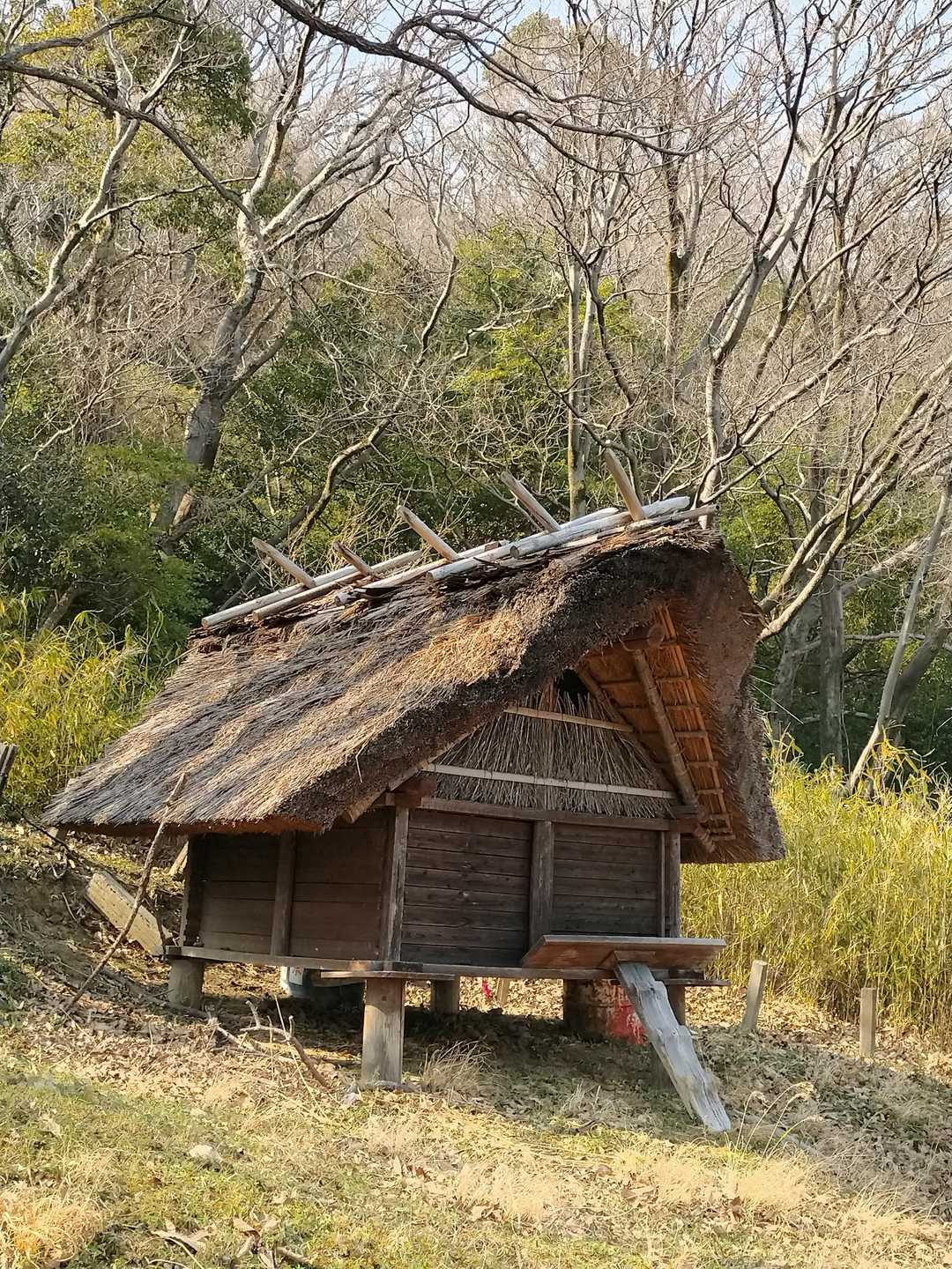 会下山遺跡