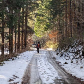 何度かカーブを回ってやーっと車へ。足腰痛くとても疲れた〜💨