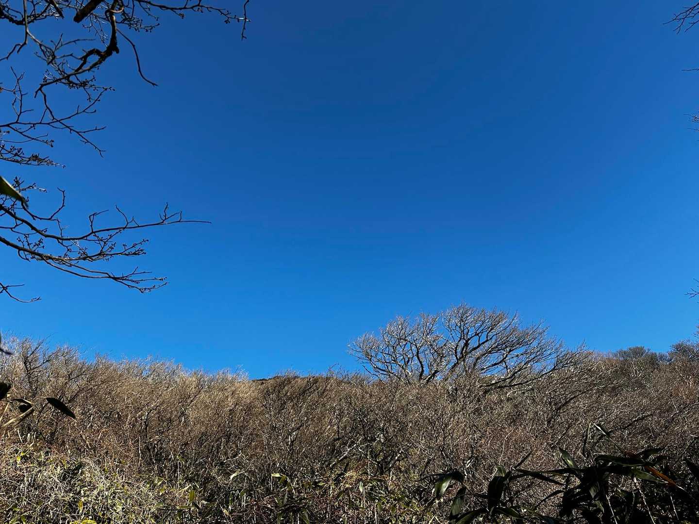 キレイなら青空
駒ヶ岳ブルー🩵

そんなのない？？🤭
