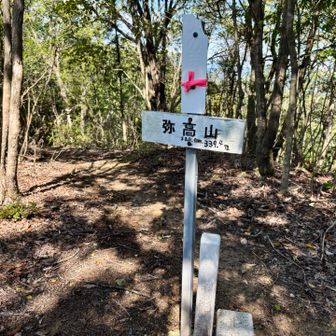 広嶺山は来たことありますが、
弥高山は初めてです✨