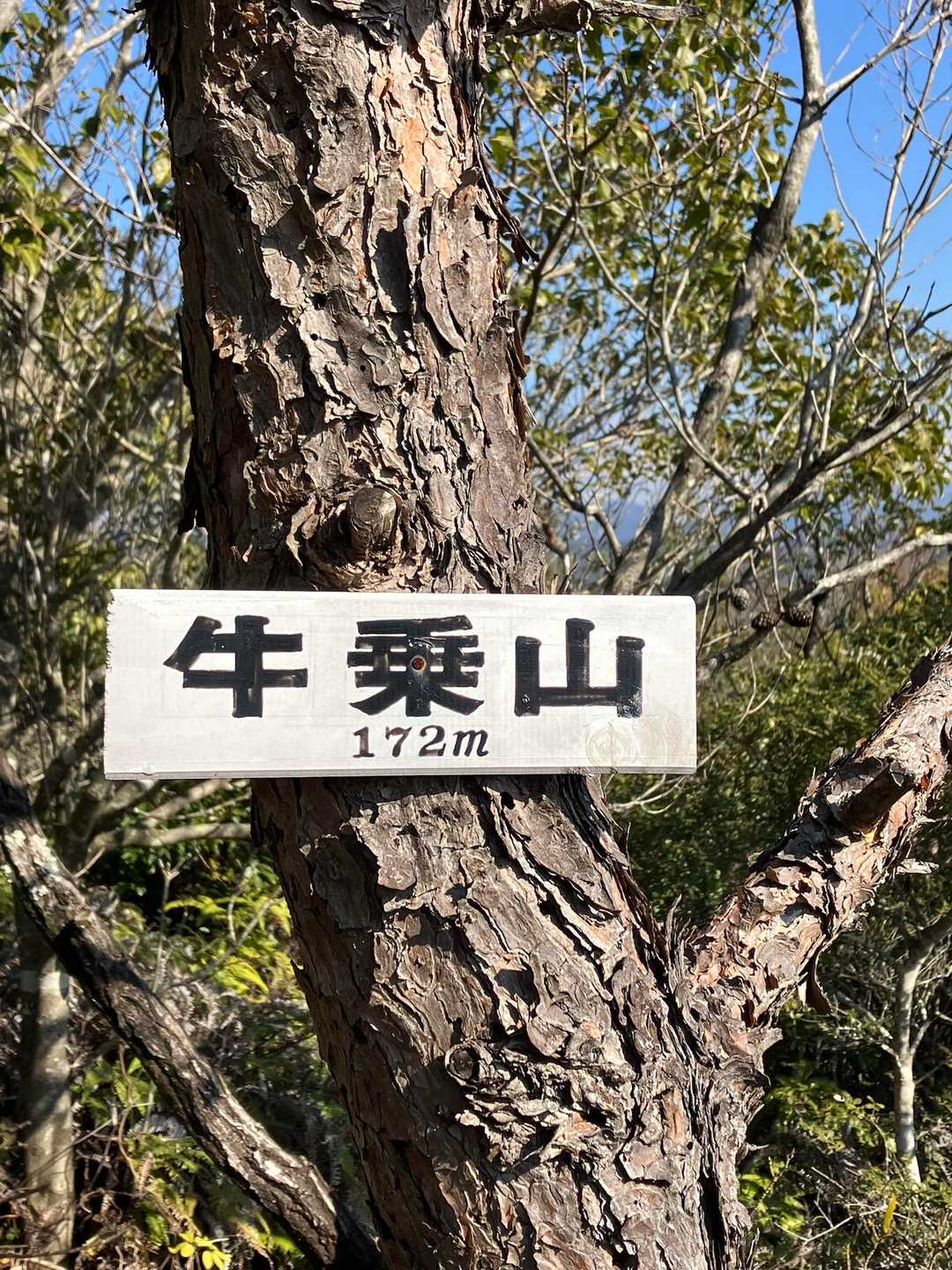 牛乗山の山頂標識🪧　175ｍ😊