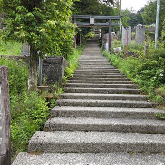 頑張るぞ～っ