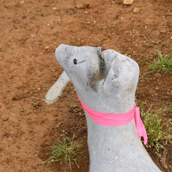 行きたいのは山々