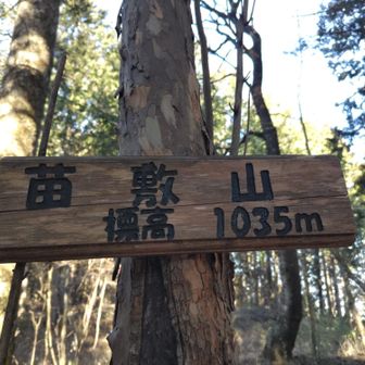奥宮裏側から登って🥾
苗敷山山頂🎉