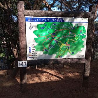 小八王子山山頂