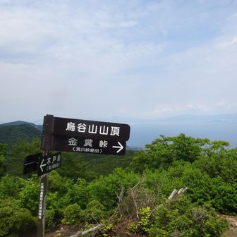 道標が目の前にあっても迷われている方々を見かけます。
山中でスマホばかり見ず周りの景色を楽しんでほしいですね。