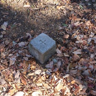 二等三角点。山名板は見つからず。
この先にロックチェアなる展望スポットがあるらしいが、今回はリサーチ不足の為に行かなかった。