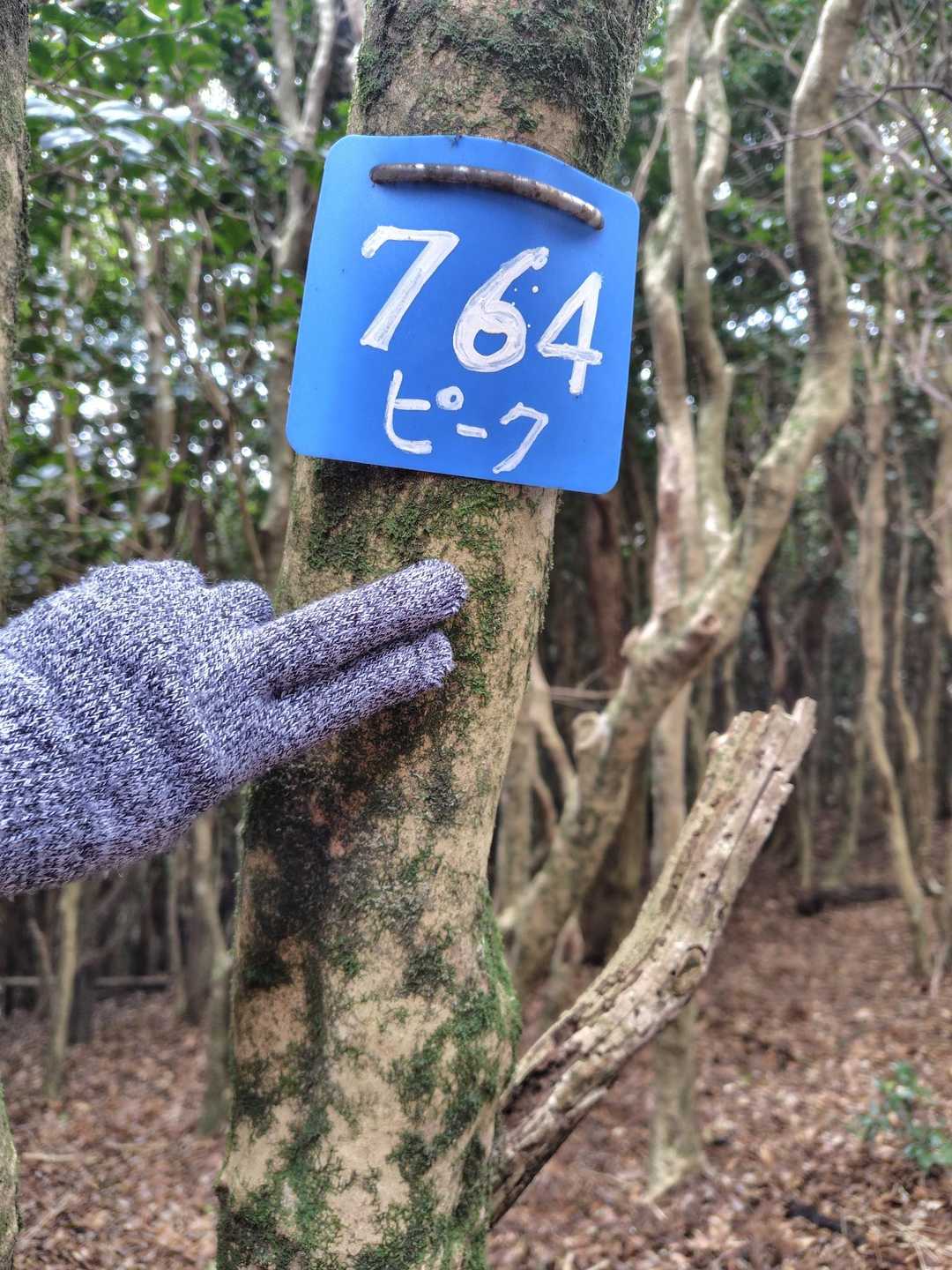 764という名のピーク