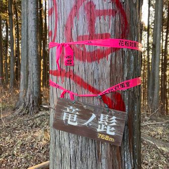 この先は初めて歩く