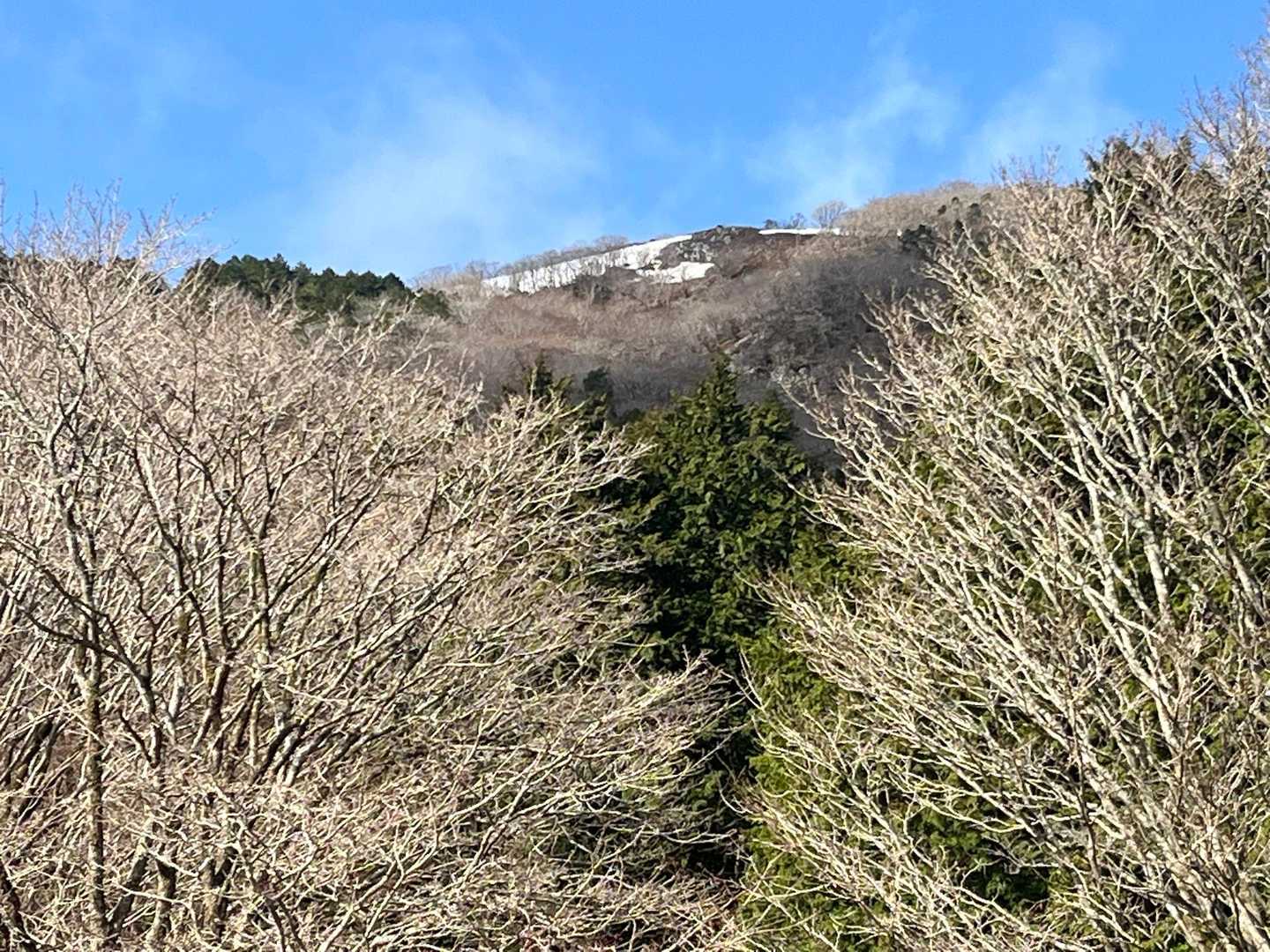 八合目あたりから見上げた感じ