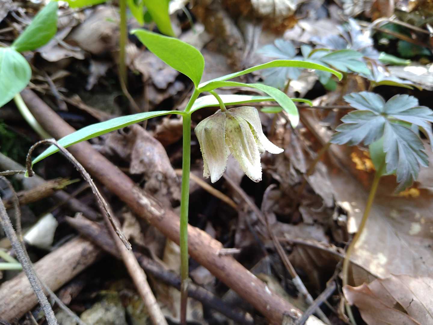 ここにも😍💕