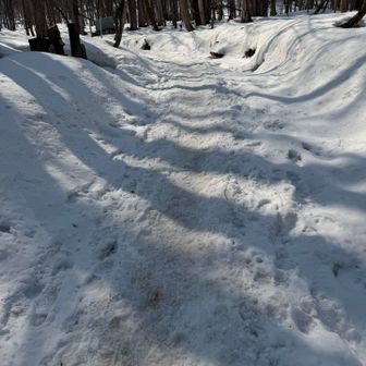 ザリザリだけど、軽アイゼンはしっかり噛む
