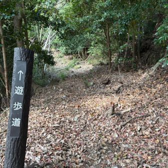 この遊歩道が登山口