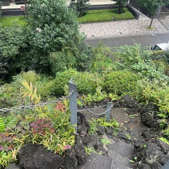山頂に表記はなく、お賽銭箱があります