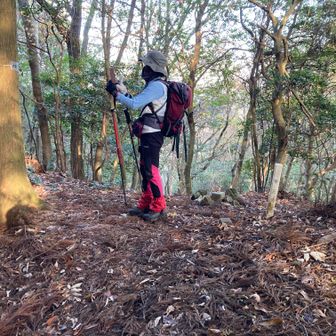 大岩山山頂　461m