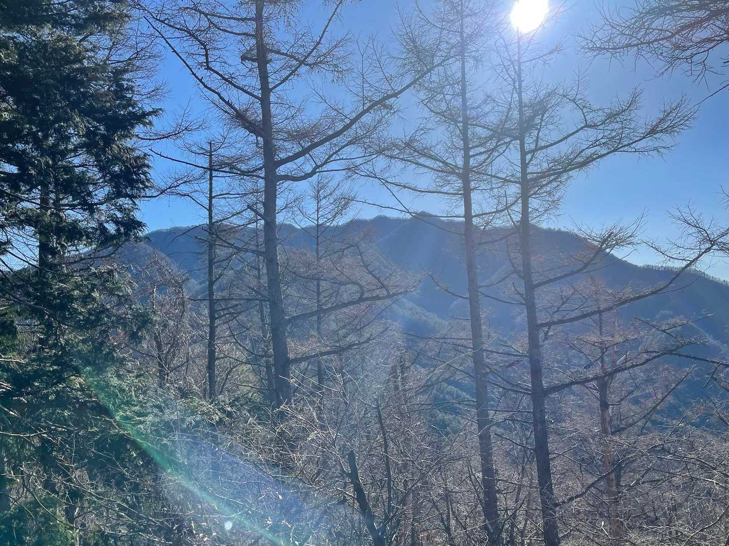杓子山　縦走も考えたけど今日はやめときます😅