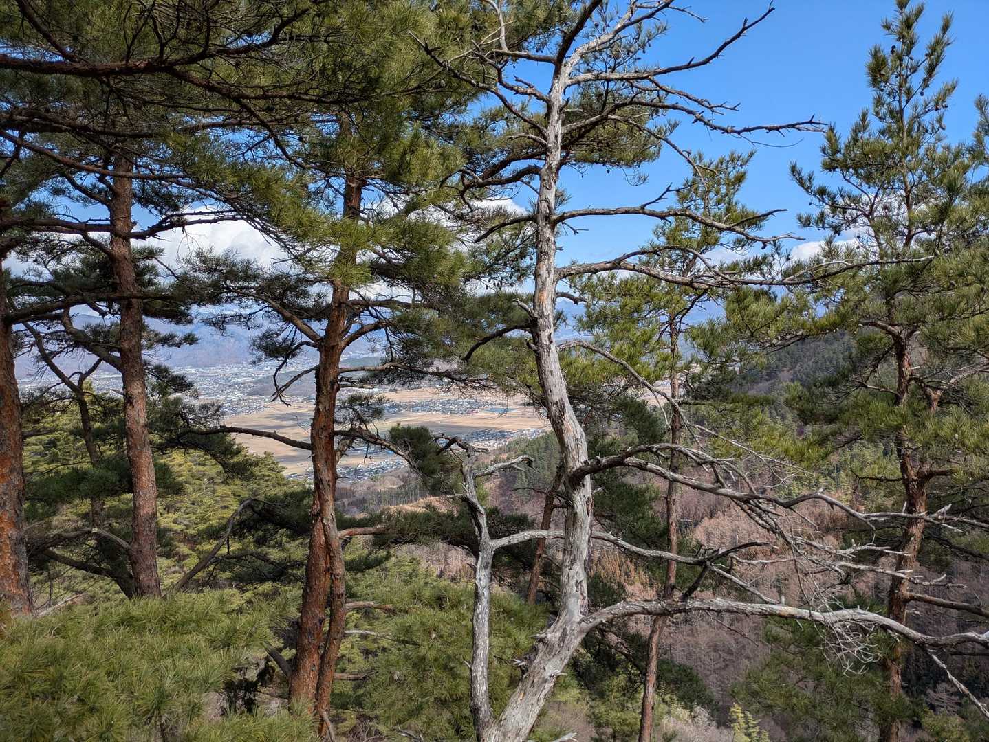 弘法山-弘法山登山口 縦走コースの写真